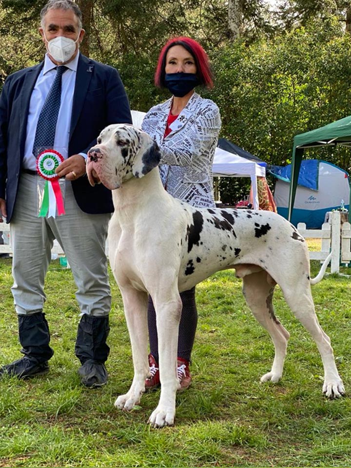 Cesare-imperatore-RAF