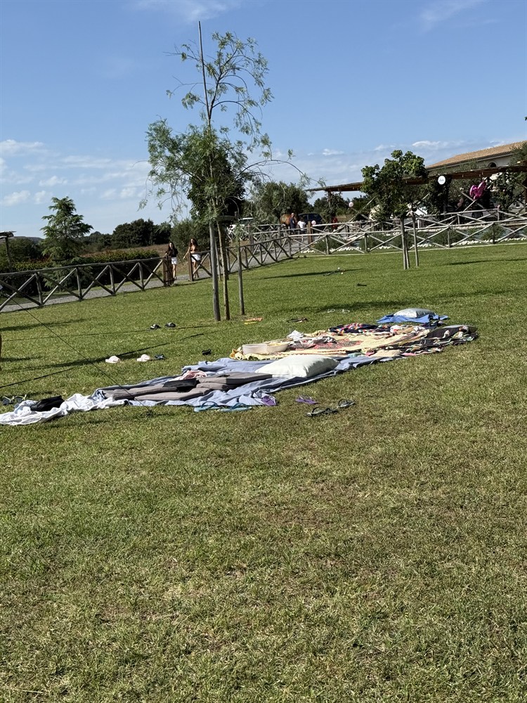 area-picnic-per-cani-05