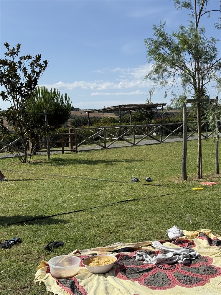 area-picnic-per-cani-08