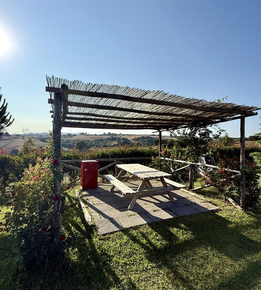 area-picnic-per-cani-09