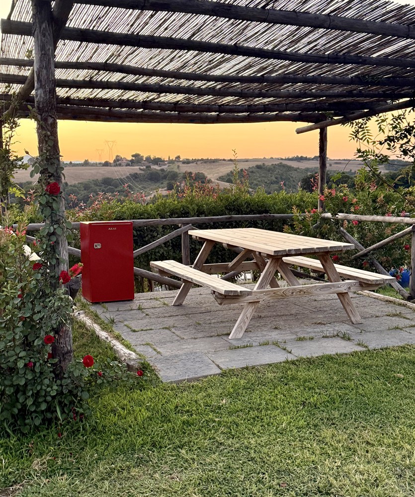 area-picnic-per-cani-10