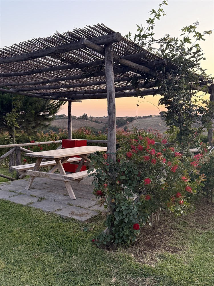 area-picnic-per-cani-11