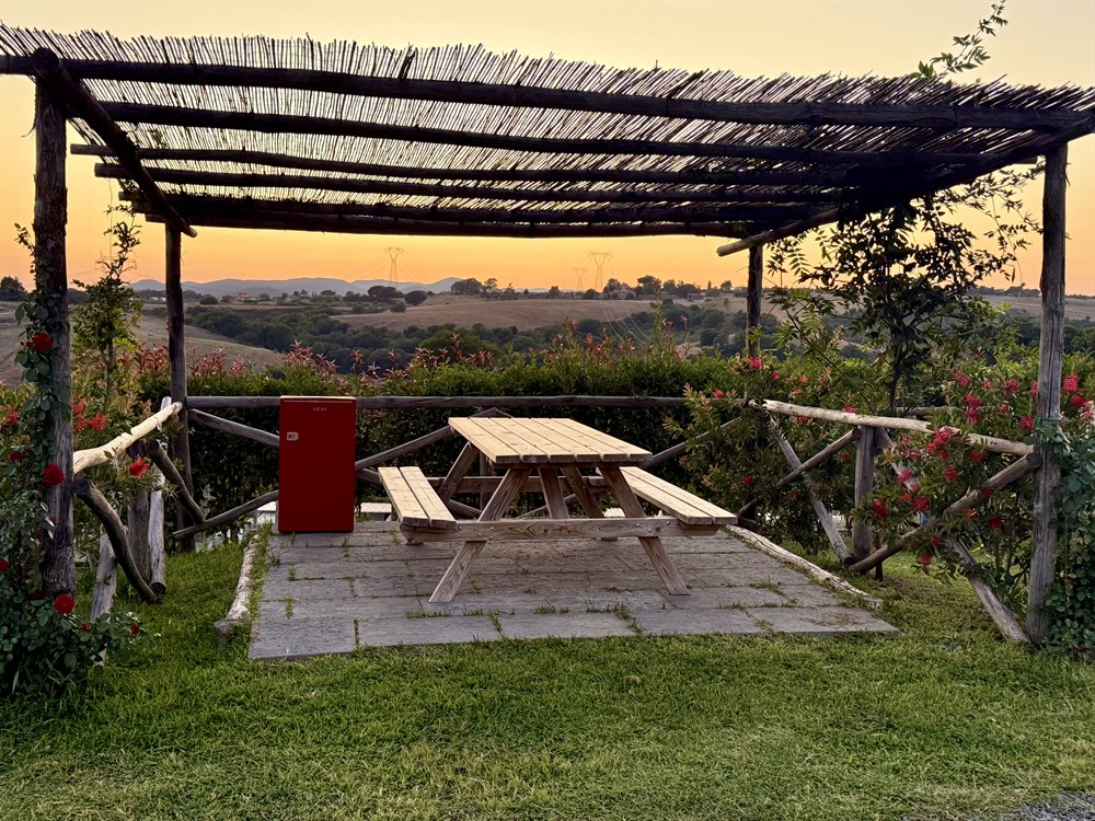 area-picnic-per-cani-12