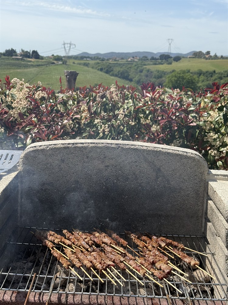 area-picnic-per-cani-15